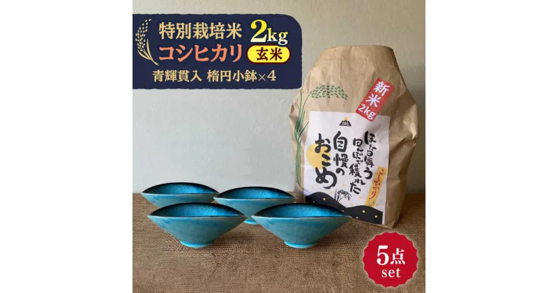 【ふるさと納税】先行予約 【令和6年産新米】 玄米 コシヒカリ 特別栽培米 （2kg） + 【美濃焼】 青輝貫入 楕円小鉢 （4枚） 【山松加藤松治郎商店】 [TEU042]