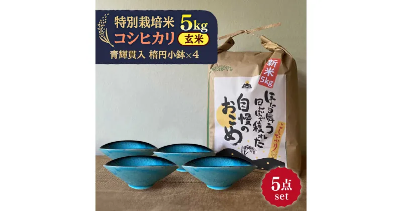 【ふるさと納税】先行予約 【令和6年産新米】 玄米 コシヒカリ 特別栽培米 （5kg） + 【美濃焼】 青輝貫入 楕円小鉢 （4枚） 【山松加藤松治郎商店】 [TEU044]