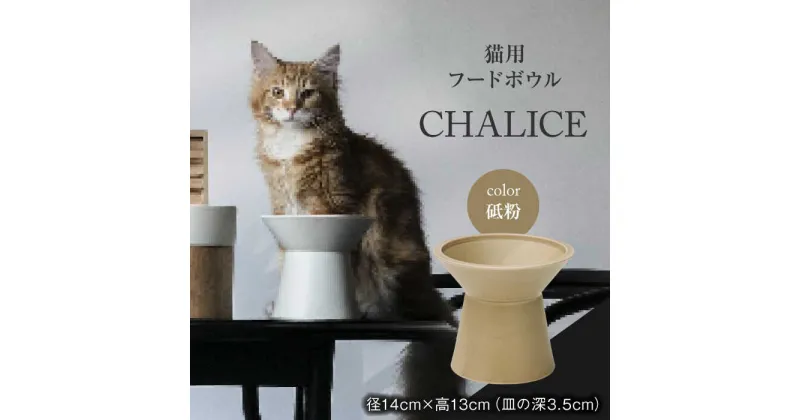 【ふるさと納税】【美濃焼】 ネコ用 フードボウル CHALICE / food bowl(tonoko砥粉) / &CAT フードボウル ペット用 ペット用品 多治見市/アペックスハート [TAB013]