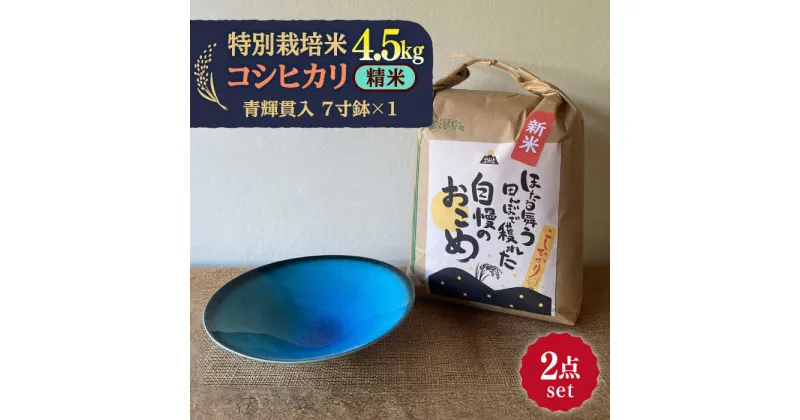 【ふるさと納税】先行予約 【令和6年産新米】 精米 コシヒカリ 特別栽培米 （4.5kg）+ 【美濃焼】 青輝貫入 7寸鉢 【山松加藤松治郎商店】 [TEU051]