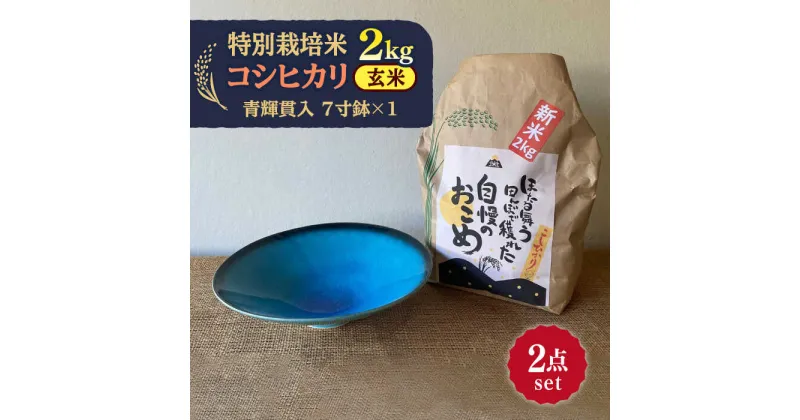 【ふるさと納税】先行予約 【令和6年産新米】 玄米 コシヒカリ 特別栽培米 （2kg）+ 【美濃焼】 青輝貫入 7寸鉢 【山松加藤松治郎商店】 [TEU050]