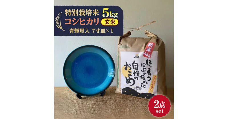 【ふるさと納税】先行予約 【令和6年産新米】 玄米 コシヒカリ 特別栽培米 （5kg）+ 【美濃焼】 青輝貫入 7寸皿 【山松加藤松治郎商店】 [TEU054]