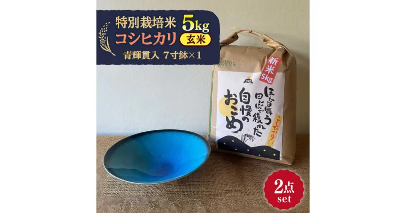 【ふるさと納税】先行予約 【令和6年産新米】 玄米 コシヒカリ 特別栽培米 （5kg）+ 【美濃焼】 青輝貫入 7寸鉢 【山松加藤松治郎商店】 [TEU052]