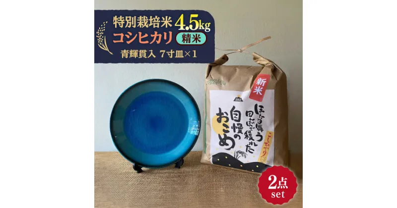 【ふるさと納税】先行予約 【令和6年産新米】 精米 コシヒカリ 特別栽培米 （4.5kg）+ 【美濃焼】 青輝貫入 7寸皿 【山松加藤松治郎商店】 [TEU053]