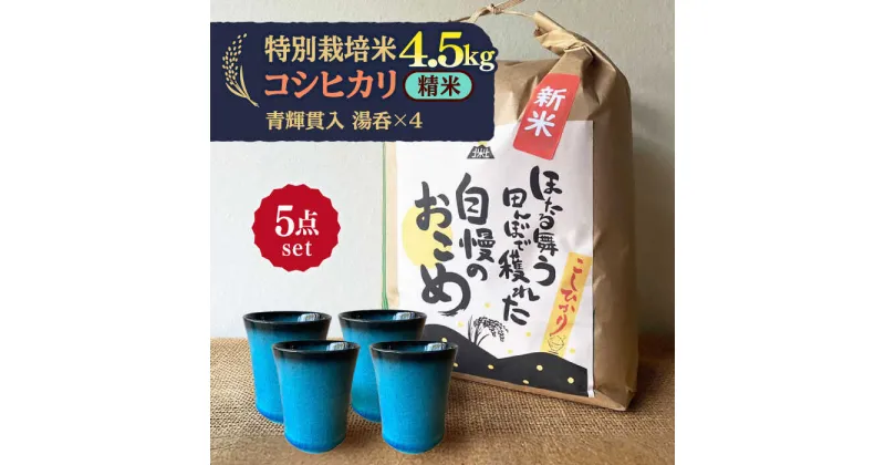 【ふるさと納税】先行予約 【令和6年産新米】 精米 コシヒカリ 特別栽培米 （4.5kg）+ 【美濃焼】 青輝貫入 湯呑 （4個） 【山松加藤松治郎商店】 [TEU059]