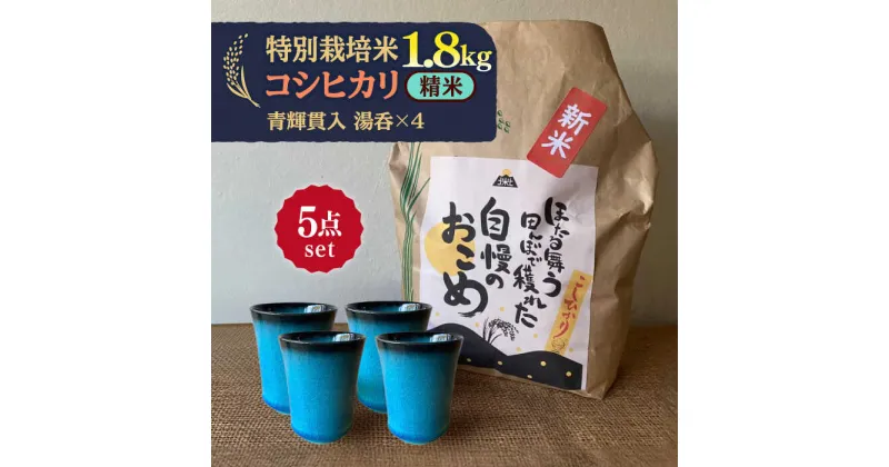 【ふるさと納税】先行予約 【令和6年産新米】 精米 コシヒカリ 特別栽培米 （1.8kg）+ 【美濃焼】 青輝貫入 湯呑 （4個） 【山松加藤松治郎商店】 [TEU057]