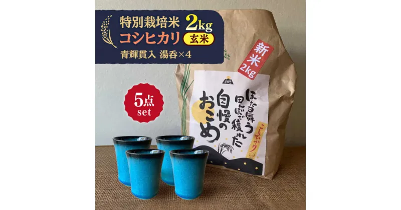 【ふるさと納税】先行予約 【令和6年産新米】 玄米 コシヒカリ 特別栽培米 （2kg）+ 【美濃焼】 青輝貫入 湯呑 （4個） 【山松加藤松治郎商店】 [TEU058]