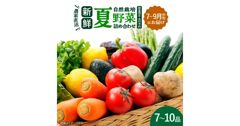 【ふるさと納税】※数量限定※ 【先行予約】 農家直送！自然栽培の夏野菜の詰め合わせ 7～10品目 (7月～9月中旬にお届け) 【ほたるファーム】 夏野菜 旬 産地直送 詰合せ[TEB009]