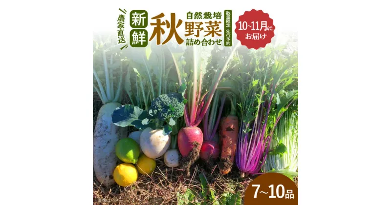 【ふるさと納税】※数量限定※ 【先行予約】 農家直送！自然栽培の秋野菜の詰め合わせ 7～10品目 (10月～11月にお届け) 【ほたるファーム】 秋野菜 旬 産地直送 詰合せ[TEB010]