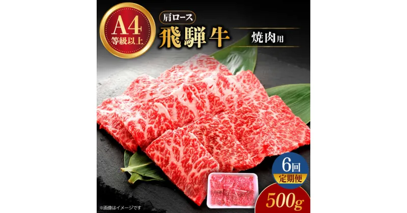 【ふるさと納税】【6回定期便】 飛騨牛 焼肉用 ロース・肩ロース 500g A4等級以上 多治見市 / 渡辺精肉店 和牛 ブランド牛 牛肉[TAZ032]