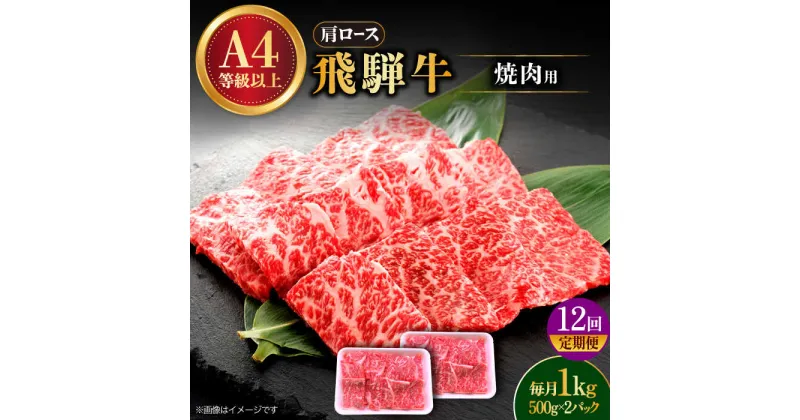 【ふるさと納税】【12回定期便】 飛騨牛 焼肉用 ロース・肩ロース 1kg A4等級以上 多治見市 / 渡辺精肉店 和牛 ブランド牛 牛肉[TAZ037]