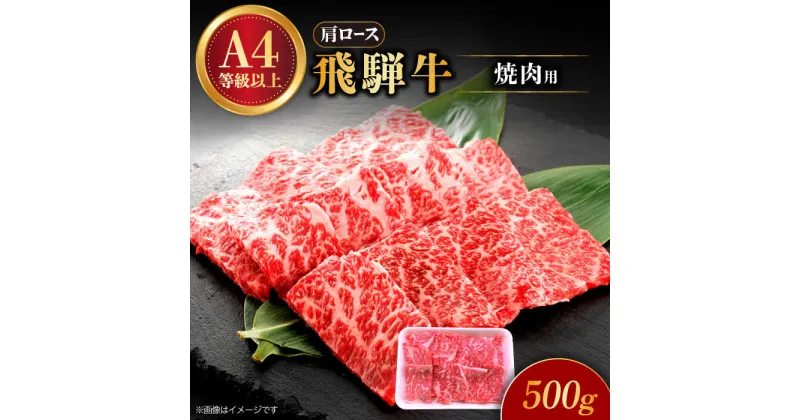 【ふるさと納税】飛騨牛 焼肉用 ロース・肩ロース 500g A4等級以上 多治見市 / 渡辺精肉店 和牛 ブランド牛 牛肉[TAZ030]