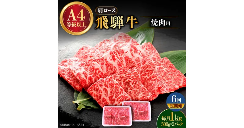 【ふるさと納税】【6回定期便】 飛騨牛 焼肉用 ロース・肩ロース 1kg A4等級以上 多治見市 / 渡辺精肉店 和牛 ブランド牛 牛肉[TAZ036]