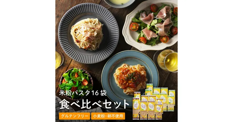 【ふるさと納税】ライスパスタ グルテンフリー パスタ お米 もちもち グルテンフリーライスパスタ 食べ比べ 16袋 L1 米粉パスタ 玄米粉 岐阜県産ハツシモ100% 国産 小麦粉不使用 乾麺 糖質制限 米粉麺 備蓄 PLUSパスタG18-04