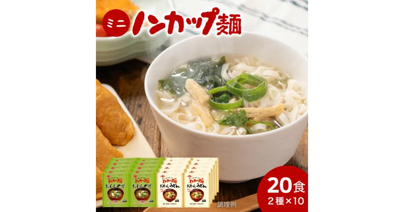 【ふるさと納税】そば うどん 乾麺 蕎麦 お取り寄せ 美味しい つゆ付き インスタント 麺だけ 袋麺 非常食 ミニノンカップ麺 おわん麺セット20食（2種×10食） 備蓄 保存食 トーエー食品 国産