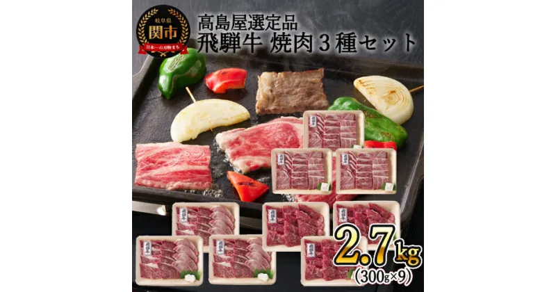 【ふるさと納税】【59E1496】〈飛騨牛〉焼肉三昧小分けセット（計2.7kg）【高島屋限定品】