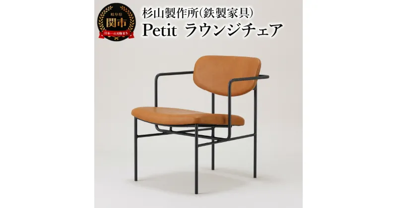 【ふるさと納税】Petit ラウンジチェア　ゆったり座れてコンパクトなアイアンラウンジチェア 家具 イス いす おしゃれ オシャレ