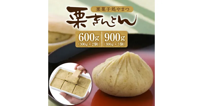 【ふるさと納税】【レビュー 高評価】栗きんとん 量が選べる (2パック 600g / 3パック 900g) 冷凍【栗菓子処やまつ】中津川銘菓 和栗 国産栗 くり 人気 和 スイーツ お菓子作り ギフト 和菓子 栗菓子 お取り寄せ グルメ 送料無料 岐阜県 中津川市 秋 旬 F4N-0126var