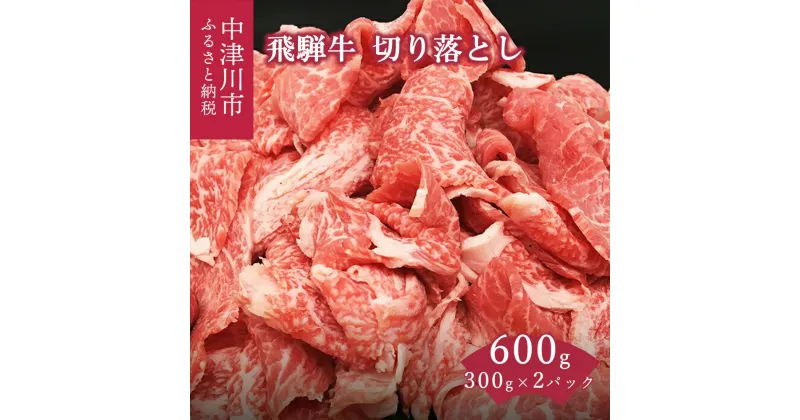 【ふるさと納税】飛騨牛 切り落とし 300g × 2 計 600g モモ 肩 バラ 冷凍【株式会社 熊崎畜産】肉 牛肉 和牛 国産 すき焼き 焼肉 牛丼 炒め物 バーベキュー キャンプ アウトドア 誕生日 記念日 お祝い 人気 お取り寄せ グルメ 送料無料【おうち BBQ】 F4N-1697