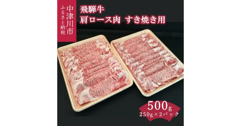 【ふるさと納税】飛騨牛 すき焼き 用 肩ロース 肉 250g × 2パック 計 500g【熊崎畜産】肉 牛肉 高級 ブランド牛 黒毛和牛 高級 和牛 お祝い 記念日 誕生日 パーティー プレゼント お取り寄せグルメ おうち BBQ 送料無料 岐阜県 中津川市 F4N-0613