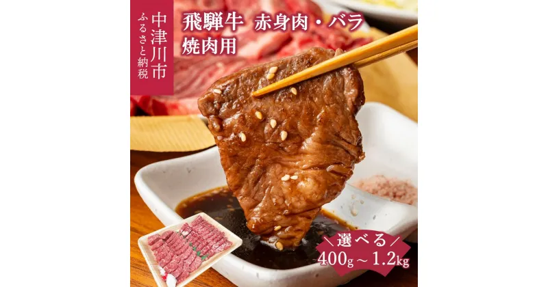 【ふるさと納税】飛騨牛 焼肉 用 量が選べる (400g / 800g / 1.2kg) 赤身 バラ 詰め合わせ 冷凍【熊崎畜産】肉 国産 牛肉 高級 黒毛和牛 人気 ブランド 和牛 お祝い 記念日 誕生日 バーベキュー キャンプ アウトドア BBQ 鉄板焼き お取り寄せ 岐阜県 中津川市 F4N-0609var