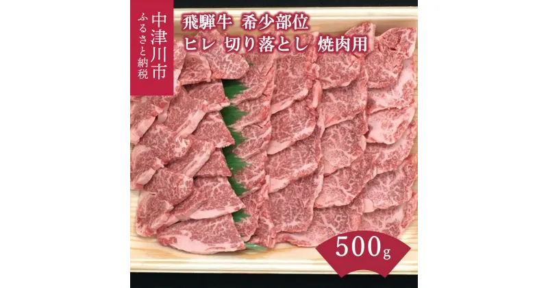 【ふるさと納税】【希少部位】飛騨牛 ヒレ 切り落とし 肉 焼肉用 500g【熊崎畜産】肉 牛肉 高級 ブランド牛 和牛 誕生日 記念日 お祝い パーティー アウトドア キャンプ バーベキュー【おうちBBQ】お届け：入金確認から2週間以内に順次発送 岐阜県 中津川市 F4N-0620