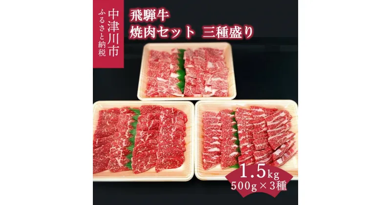 【ふるさと納税】飛騨牛 焼肉 セット 三種盛り 1.5kg バーベキュー キャンプ【おうちBBQ】お届け：入金確認から2週間以内に順次発送 F4N-0622