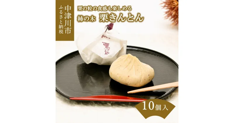 【ふるさと納税】柿の木 栗きんとん発祥の地 栗きんとん10個入 人気 スイーツ 菓子 ギフト 和菓子 栗菓子 F4N-0171