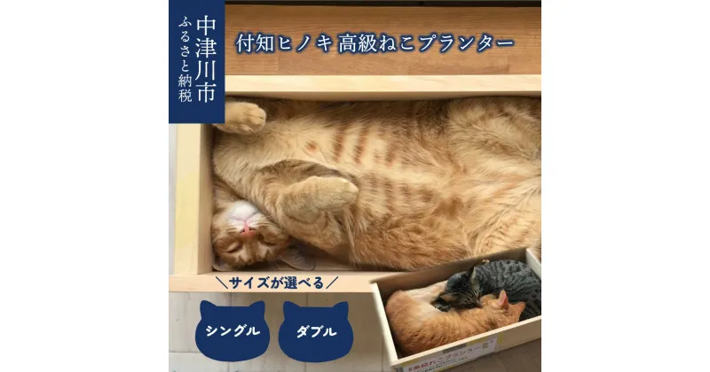 【ふるさと納税】付知ヒノキの高級ねこプランター サイズが選べる シングル / ダブル ひのき 猫 グッズ ギフト プレゼント 国産 日本製 送料無料 岐阜県 中津川市 F4N-0426var