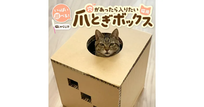 【ふるさと納税】猫用 爪とぎ ボックス「穴があったら入りたい」猫じゃらし 付き ダンボール ハウス 猫ハウス 猫グッズ おもちゃ ねこ 用品 日本製 国産 送料無料 岐阜県 中津川市 F4N-0424