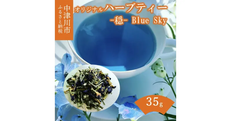 【ふるさと納税】薬剤師が作るハーブティー -穏- Blue Sky（ブルーミントブレンド） F4N-1354