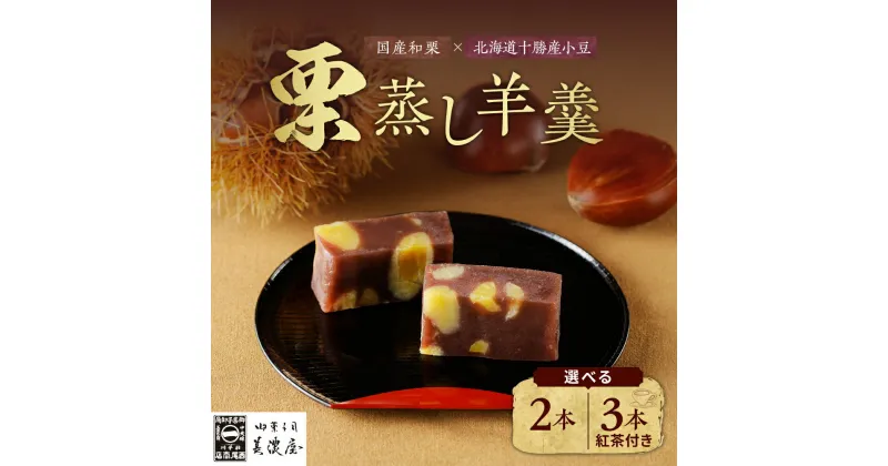 【ふるさと納税】栗蒸し 羊羹 2本 or 3本 紅茶 セット【御菓子司 美濃屋】栗羊羹 くりようかん くりむしようかん 栗蒸羊羹 羊かん 国産 栗 和栗 人気 お菓子 和菓子 栗菓子 ギフト プレゼント 手土産 お取り寄せ グルメ みのや 送料無料 秋 旬 F4N-0995var