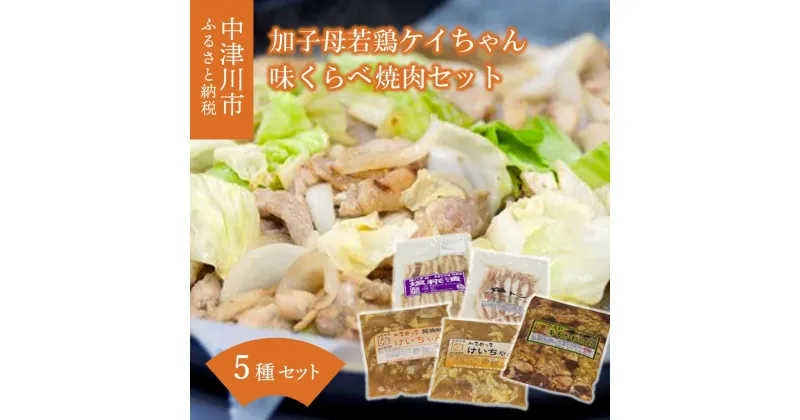 【ふるさと納税】加子母若鶏ケイちゃん 味くらべ焼肉セット （鶏肉 小分け 200g×3 豚トロ 180g×1 豚バラ肉の塩麹 200g×1 肝皮 300g×1） アトラ生鮮館 F4N-1173