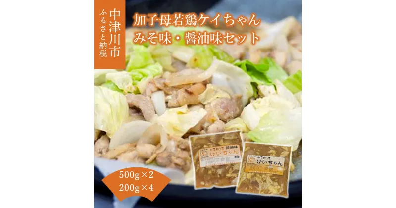 【ふるさと納税】加子母若鶏ケイちゃんセット （鶏肉 小分け みそ味 醤油味 計500g×2・200g×4） アトラ生鮮館 F4N-1175