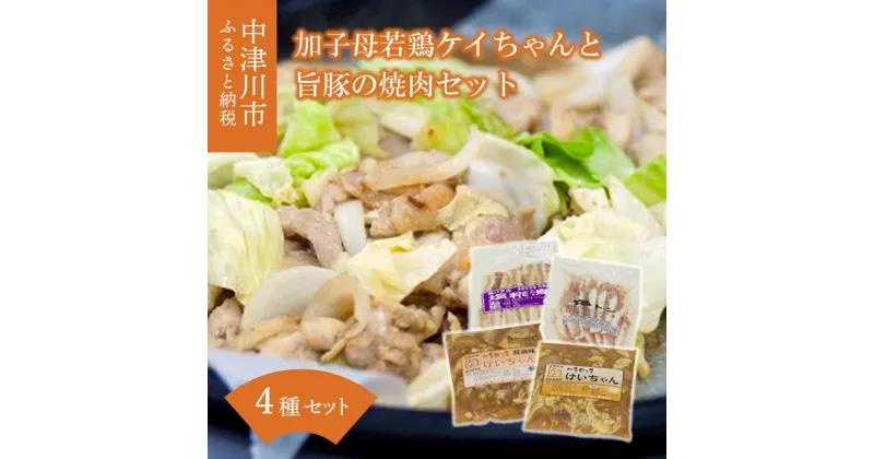 【ふるさと納税】加子母若鶏ケイちゃんと旨豚の焼肉セット （鶏肉 小分け 500g×2 豚トロ 180g×1 豚バラ肉の塩麹200g×1） アトラ生鮮館 F4N-1177