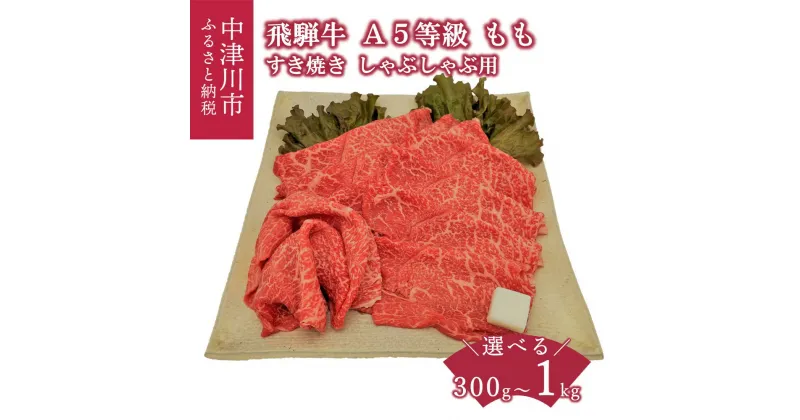 【ふるさと納税】【数量限定】飛騨牛 A5 等級 もも 内容量が選べる 300g 500g 1kg すき焼き しゃぶしゃぶ 冷蔵 発送 肉 牛肉 和牛 国産 高級 ブランド牛 黒毛和牛 牛すき お祝い 記念日 誕生日 プレゼント パーティー お取り寄せ グルメ 岐阜県 中津川市 F4N-1225var