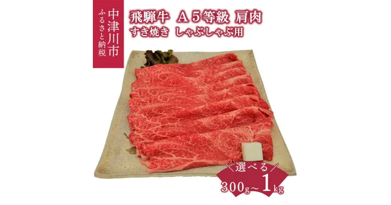 【ふるさと納税】【数量限定 チルド 冷蔵 発送】飛騨牛 A5 等級 肩肉 すき焼き しゃぶしゃぶ 用 量が選べる ( 300g 500g 1kg ) 薄切り 牛肉 和牛 国産 お取り寄せグルメ 送料無料 F4N-1227var