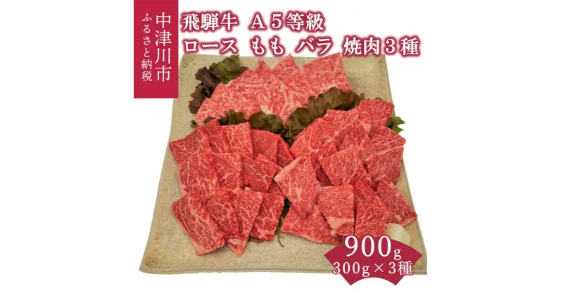 【ふるさと納税】【数量限定 チルド 冷蔵 発送】飛騨牛 A5 等級 焼肉3種盛り ロース・もも・バラ 各 300g 鉄板焼き 網焼き 焼肉 バーベキュー BBQ F4N-1250