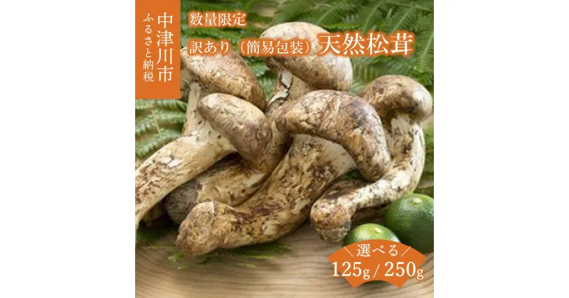 【ふるさと納税】【数量限定】天然 松茸 量が選べる (125g / 250g) 松茸ご飯 焼き松茸 土瓶蒸し 訳あり 簡易包装 人気 国産 松茸 まつたけ マツタケ 秋 旬 お取り寄せ 岐阜県 中津川市 F4N-1491var