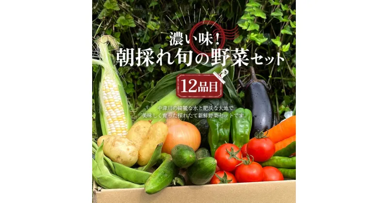 【ふるさと納税】＜奇数月6回定期便＞濃い味！朝採れ旬の野菜セット【12品目】 採れたて 野菜 詰め合わせ セット 春 夏 秋 冬 旬の野菜 おまかせ 12品目 新鮮 岐阜県 中津川市 F4N-1623