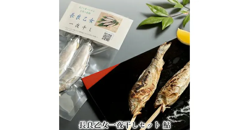 【ふるさと納税】長良乙女一夜干しセット 鮎　 和食 惣菜 魚 つまみ おかず お酒 晩酌 あて お供 肴 魚料理 調理済み 川魚 骨 柔らかい 頭 丸ごと 旨味 凝縮 冷凍 干物