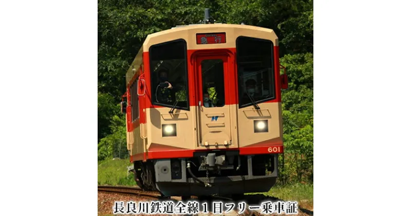 【ふるさと納税】長良川鉄道全線1日フリー乗車証　 体験 チケット フリーパス ローカル鉄道 記念品 想い出 台紙付き 限定 美濃市 ゆるキャラ うだつくん 車窓 絶景 名所 巡り 電車 趣味 旅 巡り