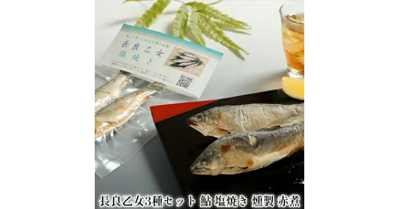 【ふるさと納税】長良乙女3種セット 鮎 塩焼き 燻製 赤煮　 和食 惣菜 魚 若鮎 子持ち鮎 加工品 骨 丸ごと 食べられる スモーキー 煮魚 焼き魚 つまみ おかず お酒 晩酌 あて お供 肴 魚料理 調理済み 川魚