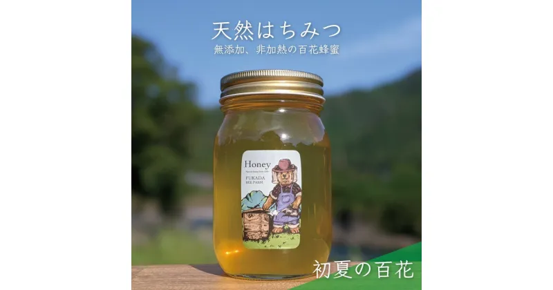 【ふるさと納税】合計600g 天然蜂蜜 国産蜂蜜 非加熱 生はちみつ 岐阜県 美濃市産 初夏 (蜂蜜600g入りガラス瓶1本)B5　 ハニー 調理 料理 味付け 甘味 百花蜜 深い味わい 自然の味 無添加