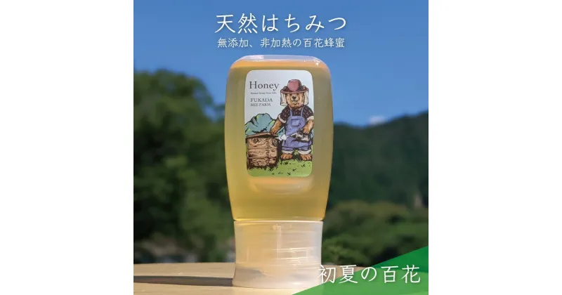 【ふるさと納税】合計300g 天然蜂蜜 国産蜂蜜 非加熱 生はちみつ 岐阜県 美濃市産 初夏 (蜂蜜300g入りピタッとボトル1本)B9　 ハニー 調理 料理 味付け 甘味 百花蜜 深い味わい 自然の味 無添加