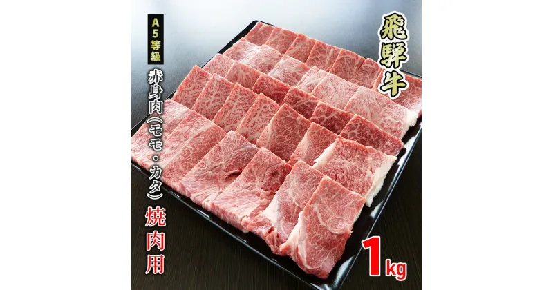 【ふるさと納税】牛肉 飛騨牛 焼き肉 赤身 モモ 又は カタ 1kg 黒毛和牛 A5 美味しい お肉 牛 肉 和牛 焼肉 BBQ バーベキュー 【岐阜県美濃市】　 もも お肉 牛肉 焼肉 ギフト 贈答 BBQ