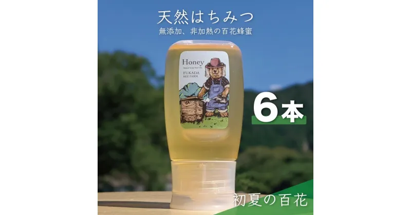 【ふるさと納税】合計1800g 天然蜂蜜 国産蜂蜜 非加熱 生はちみつ 岐阜県 美濃市産 初夏 (蜂蜜300g入りピタッとボトル6本セット) B17