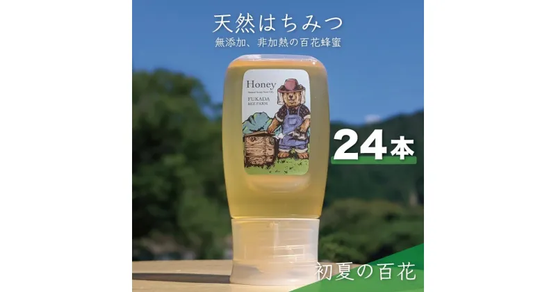 【ふるさと納税】合計7200g 天然蜂蜜 国産蜂蜜 非加熱 生はちみつ 岐阜県 美濃市産 初夏 (蜂蜜300g入りピタッとボトル24本セット) B19