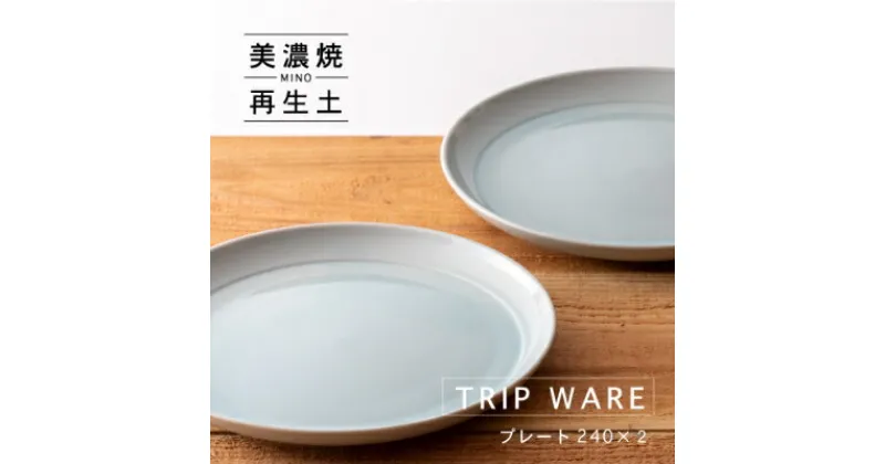 【ふるさと納税】【美濃焼・tripware】グッドデザイン賞受賞 プレート240　2枚　水釉【1262026】