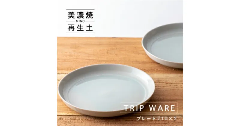 【ふるさと納税】【美濃焼・tripware】グッドデザイン賞受賞 プレート210　2枚　水釉【1262040】